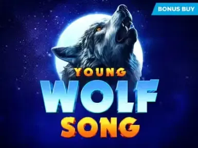 Wyns Casino screenshot